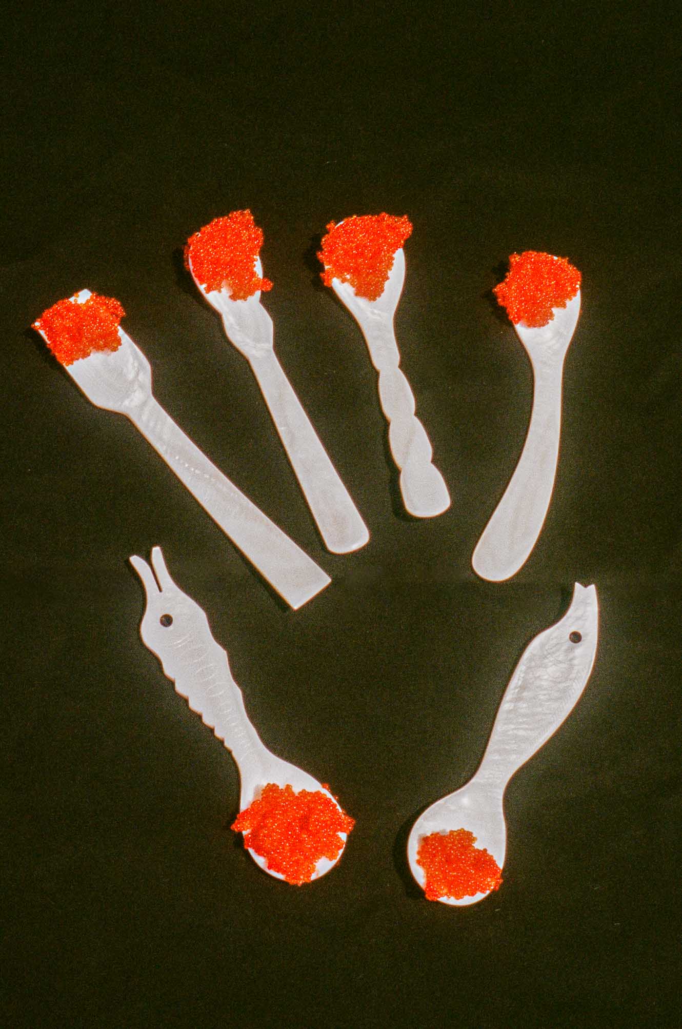 mother of pearl sea creature spoon set