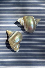 Load image into Gallery viewer, NAPKIN RINGS, SHELL