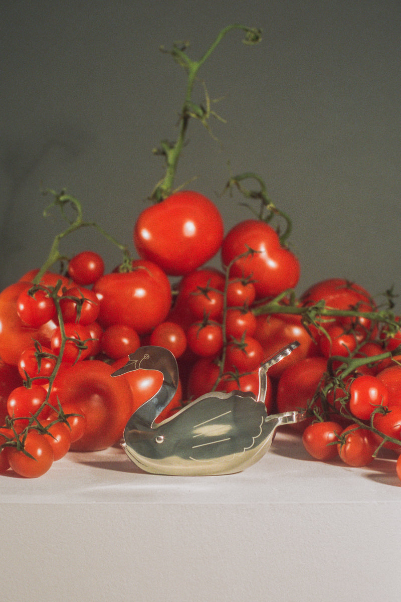 スワンスクイーズカーブ　Swan Squeeze Curve Amazon.co.jp: SWAN SQUEEZE CURVE スワン カーブ : おもちゃ