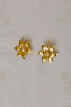 Load image into Gallery viewer, DOCE EARRINGS