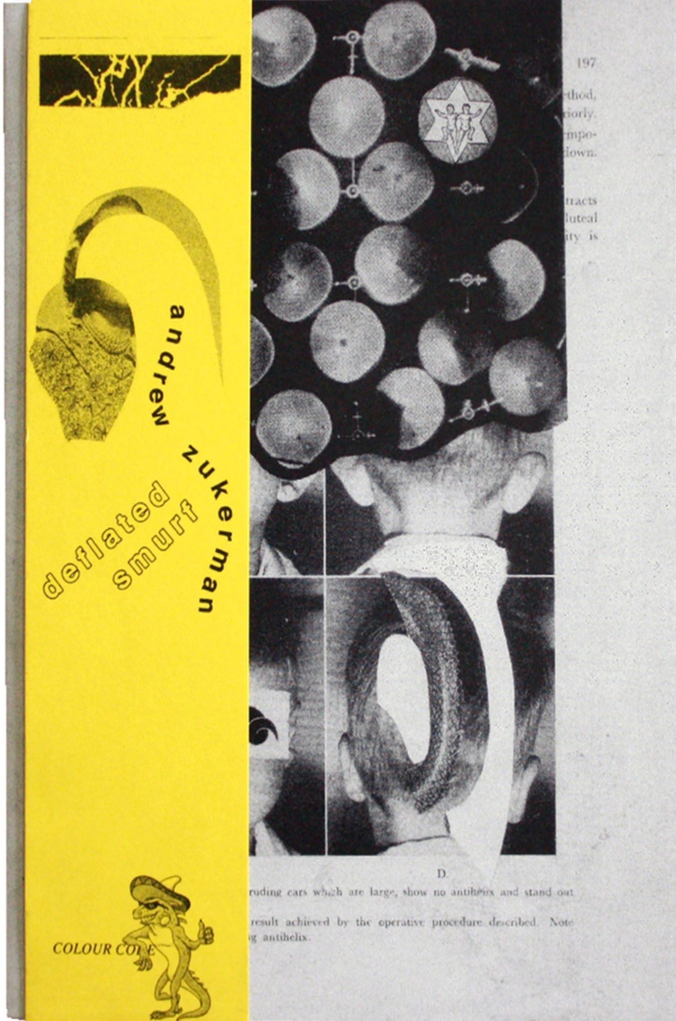 2 colour risograph zine