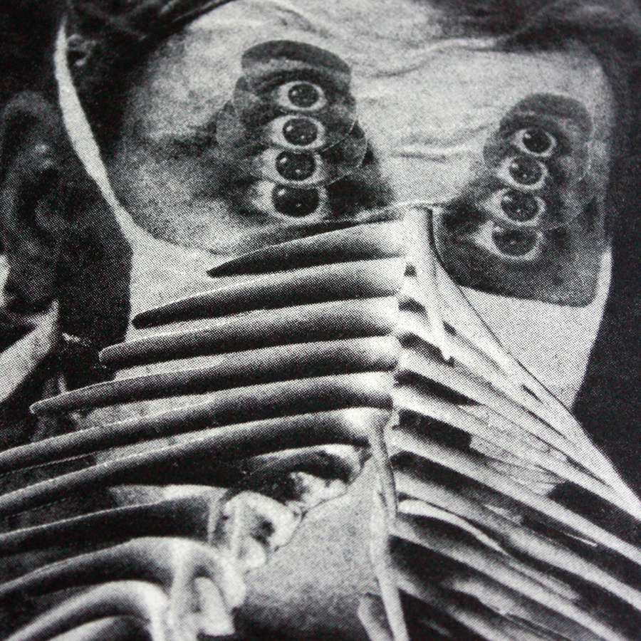 2 colour risograph zine