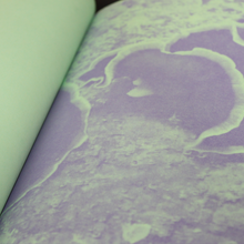 Load image into Gallery viewer, 1 colour risograph flatworm zine