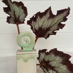 handmade ceramic treasure box in green swirl