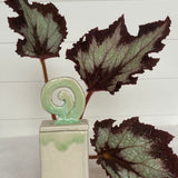 handmade ceramic treasure box in green swirl