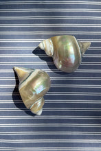 Load image into Gallery viewer, NAPKIN RINGS, SHELL