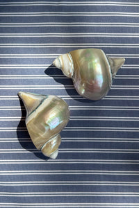 NAPKIN RINGS, SHELL