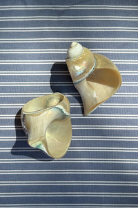 NAPKIN RINGS, SHELL