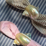 NAPKIN RINGS, SHELL
