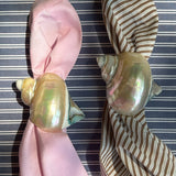 NAPKIN RINGS, SHELL