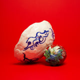 DISCOURSE IN WILD STRAWBERRY