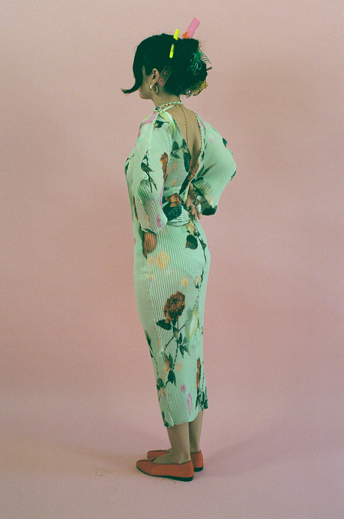 MASHA DRESS IN EDWARD