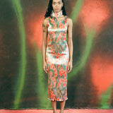 TITO DRESS IN GALLIA 3