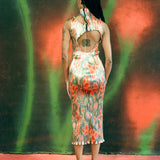 TITO DRESS IN GALLIA 3