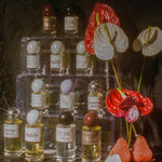 Maraschino Vetiver Artemisia Pineapple Neroli Bay Leaf Musk perfume