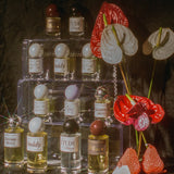 Maraschino Vetiver Artemisia Pineapple Neroli Bay Leaf Musk perfume