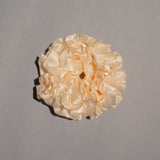 CARNATION SCRUNCHIE IN CREAM