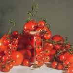 copper nickel silver pedestal dessert coupe