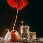 Strawberries Rose Liqueur Hinoki Canldewax Musk Cedarwood perfume