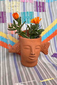 Oaxacan red clay fish head planter