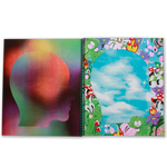 6 colour risograph zine