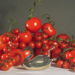 stainless steel silver swan lemon squeezer