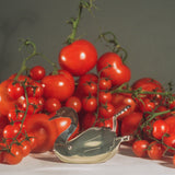 stainless steel silver swan lemon squeezer