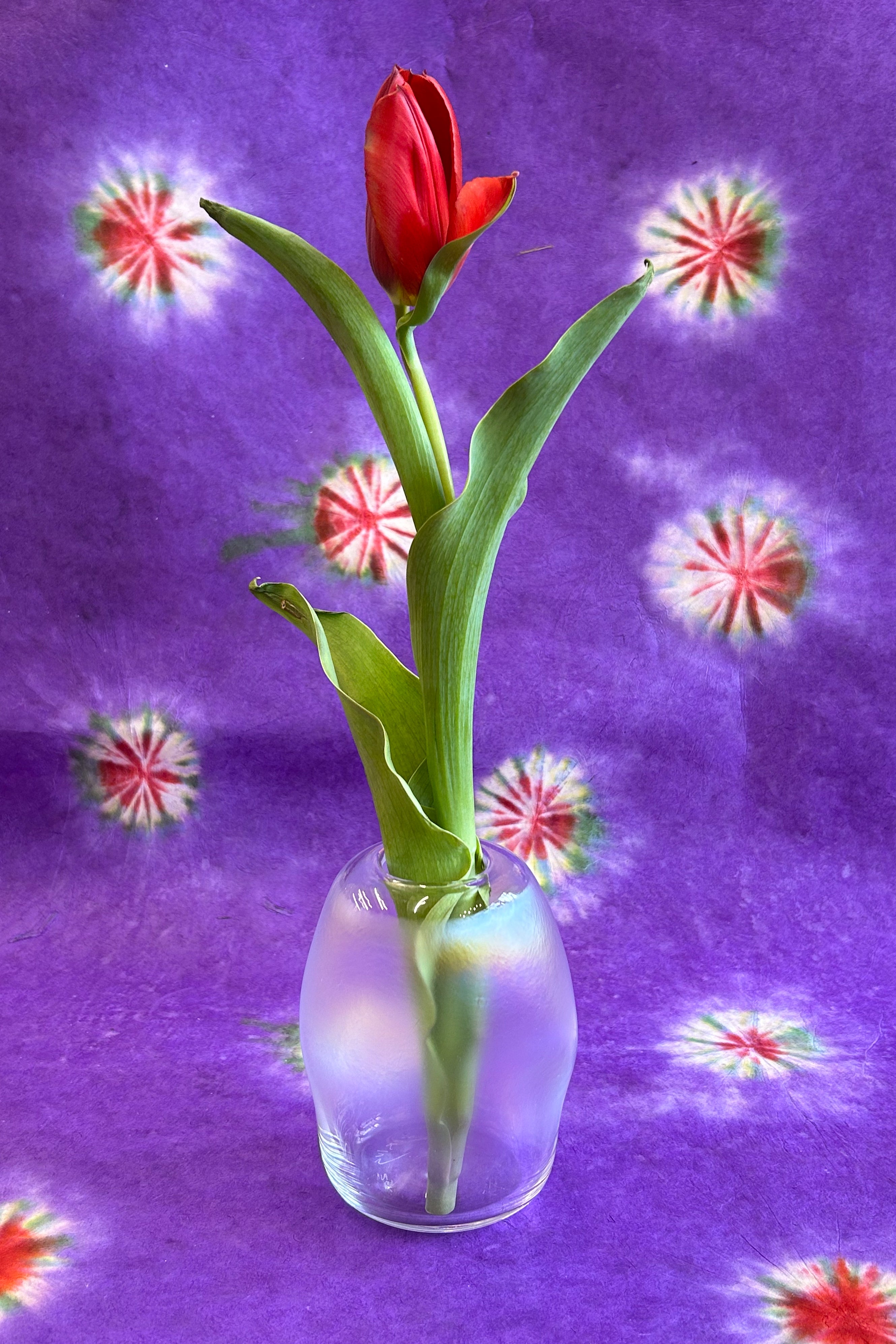 small iridescent sculptured handblown glass vase