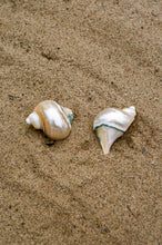 Load image into Gallery viewer, large natural turbot shell napkin rings