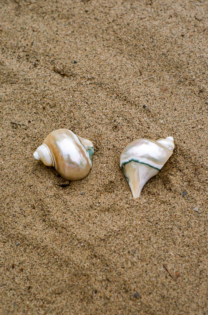 large natural turbot shell napkin rings