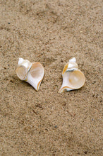 Load image into Gallery viewer, large natural turbot shell napkin rings