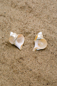large natural turbot shell napkin rings