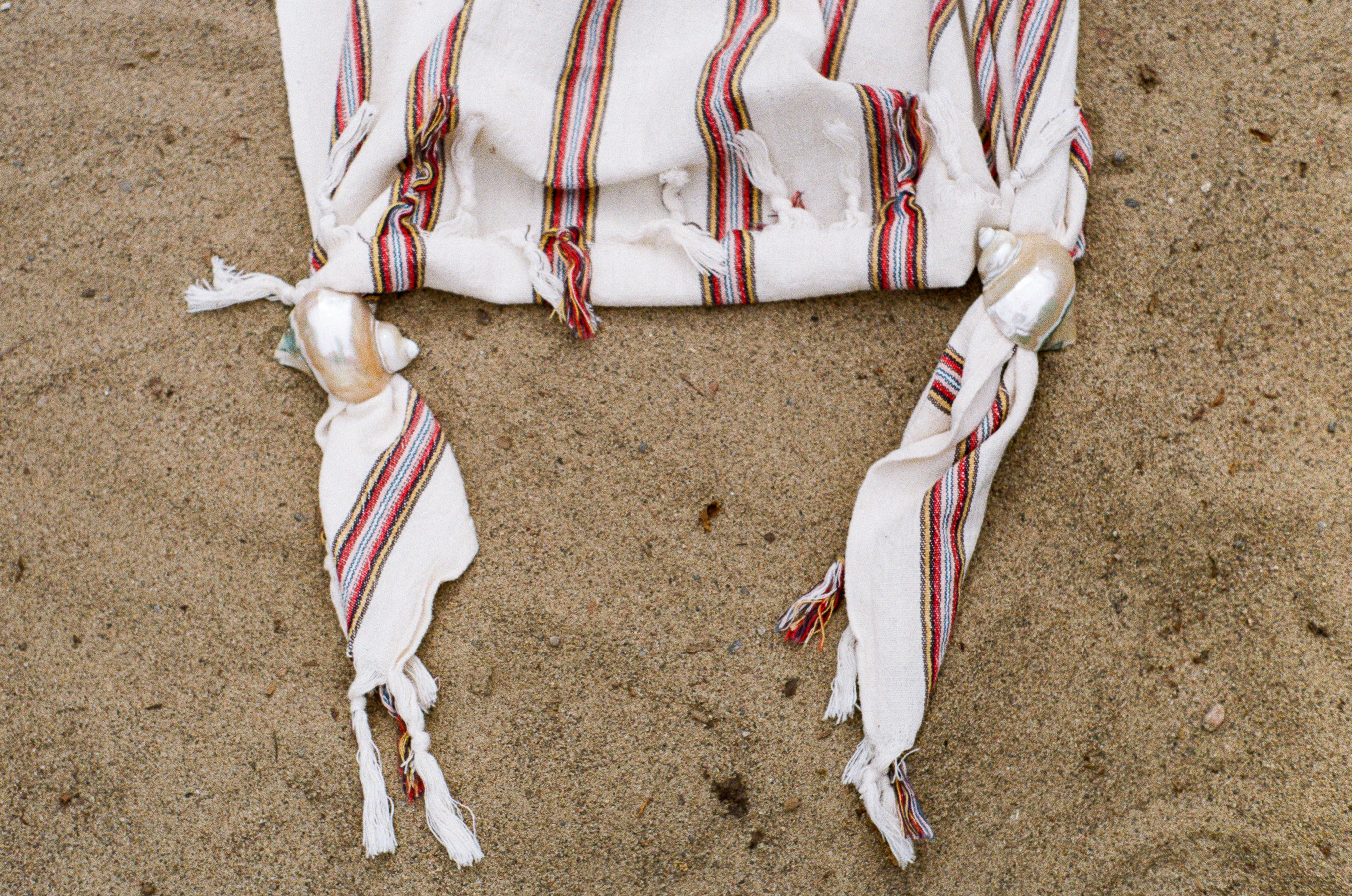 large natural turbot shell napkin rings