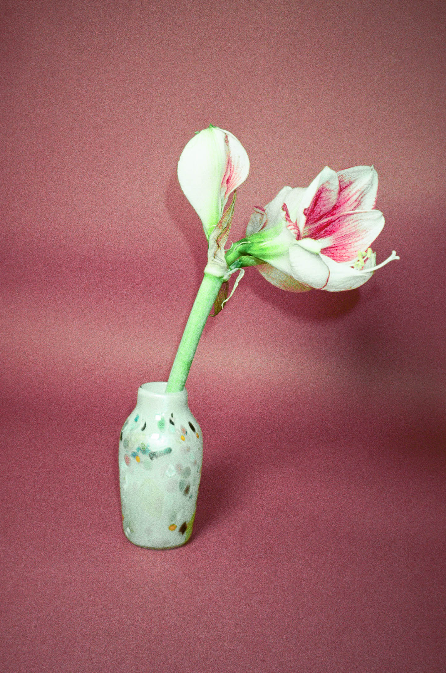 SMALL WHITE WITH SPECIAL SPOTS VASE