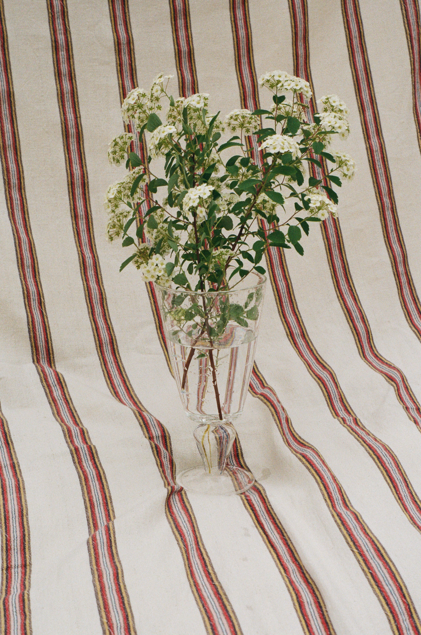 clear glass trumpet vase blue yellow details