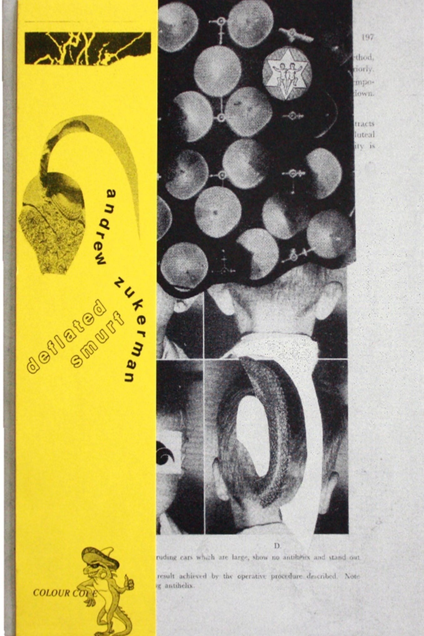 2 colour risograph zine