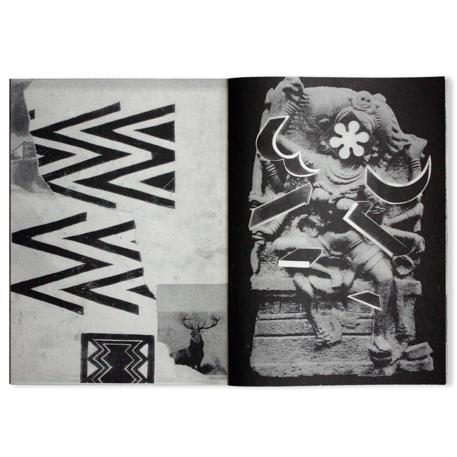 2 colour risograph zine