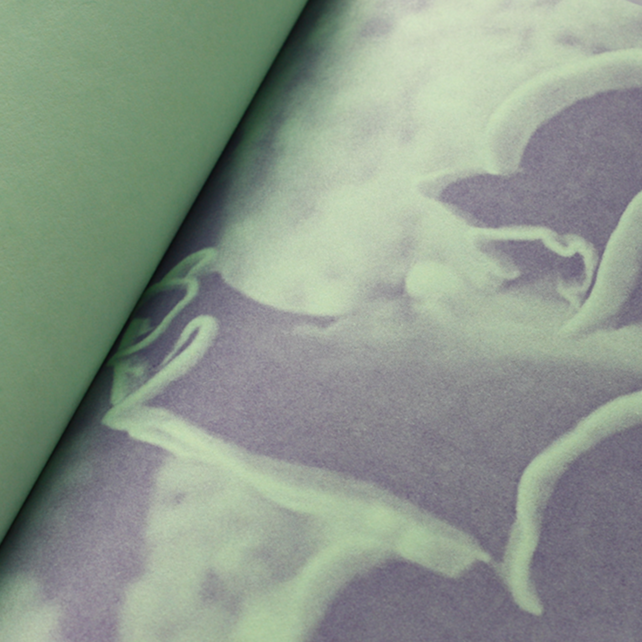 1 colour risograph flatworm zine