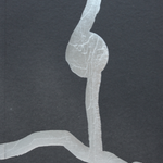 1 colour risograph flatworm zine