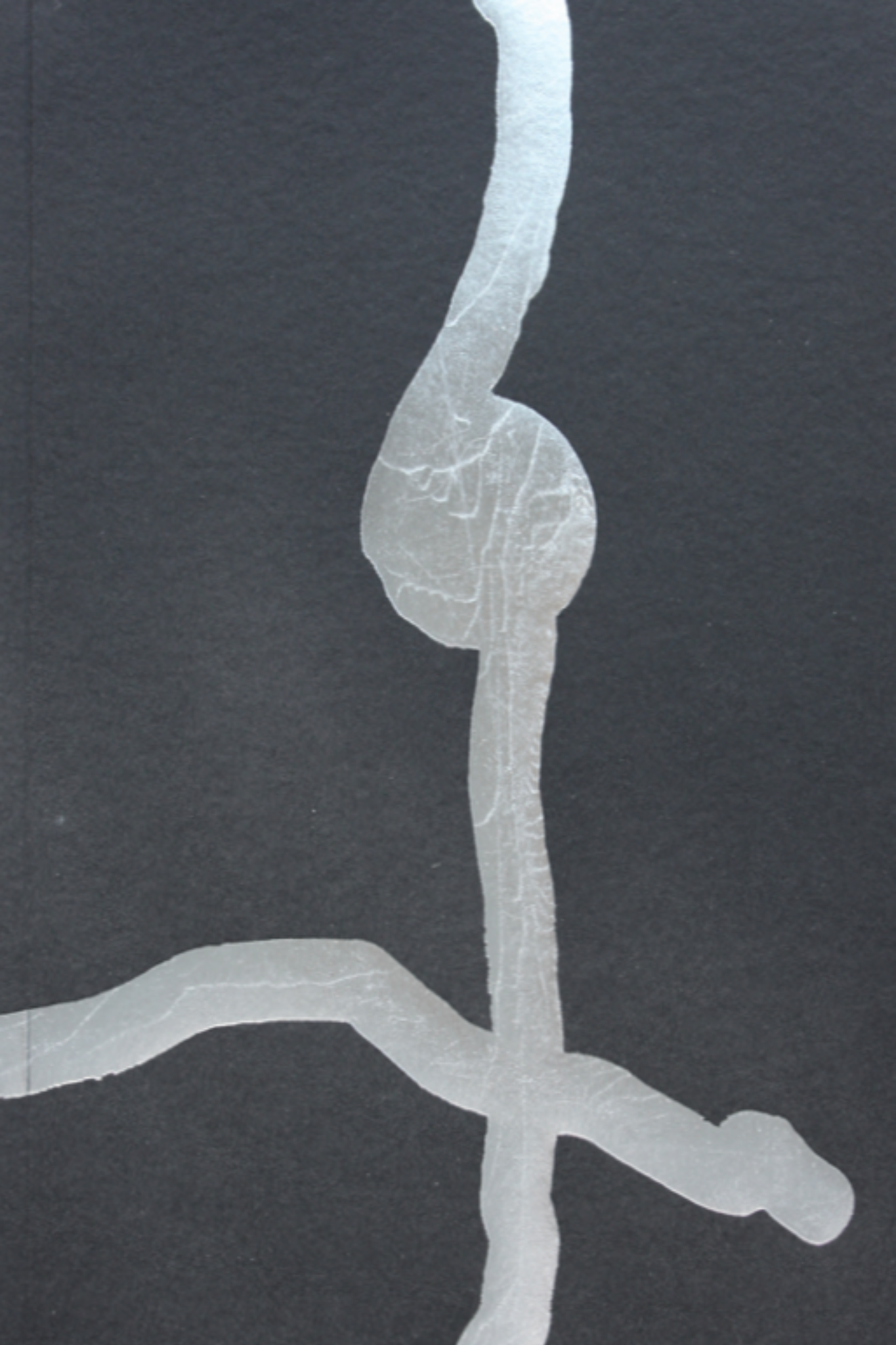 1 colour risograph flatworm zine