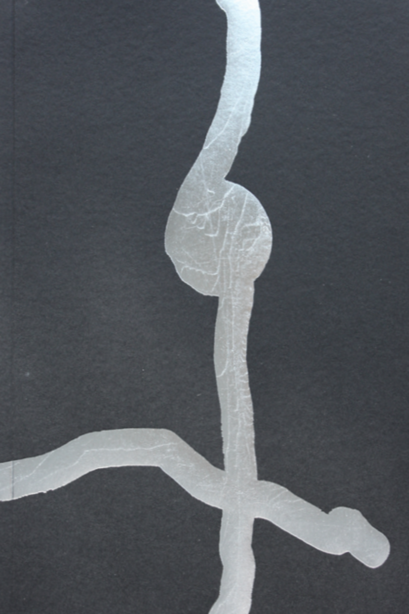 1 colour risograph flatworm zine